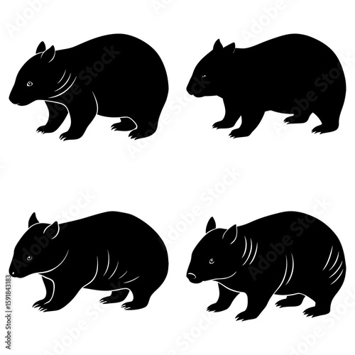 Four black wombat silhouettes in a square arrangement on a white background wildlife illustration