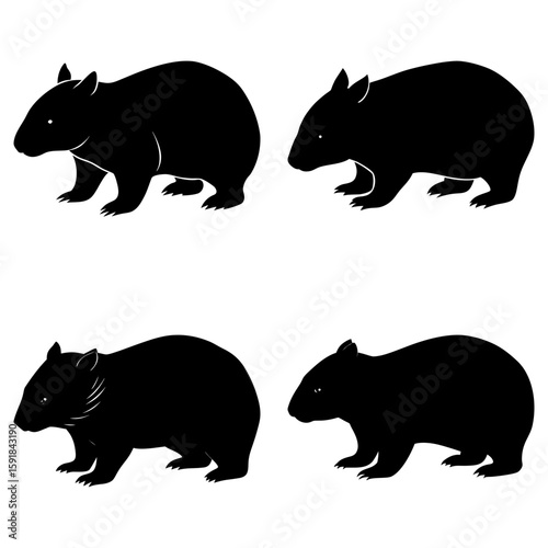 Four wombat silhouettes arranged in a square formation on a white background in a simple vector graphic style