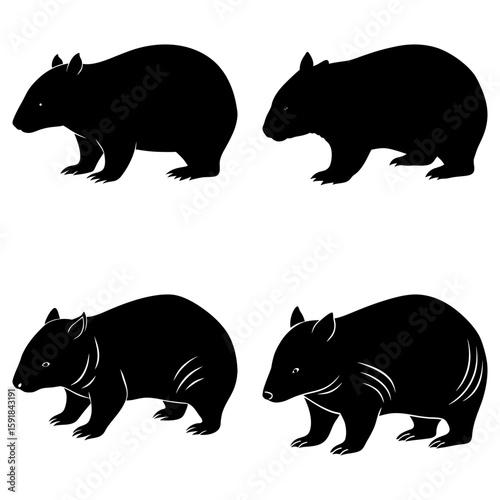 Four black wombat silhouettes arranged in a square pattern on a white background illustration design