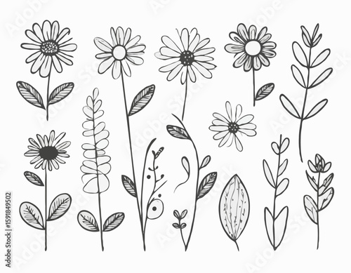 Doodle ink floral sketch set, vector flower brushstroke collection, hand drawn organic icon kit. Abstract naive botanical outline modern spring decoration design element. Doodle floral texture clipart