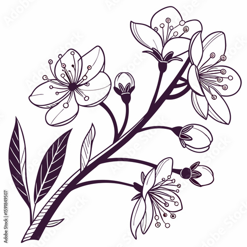 Doodle ink floral sketch set, vector flower brushstroke collection, hand drawn organic icon kit. Abstract naive botanical outline modern spring decoration design element. Doodle floral texture clipart