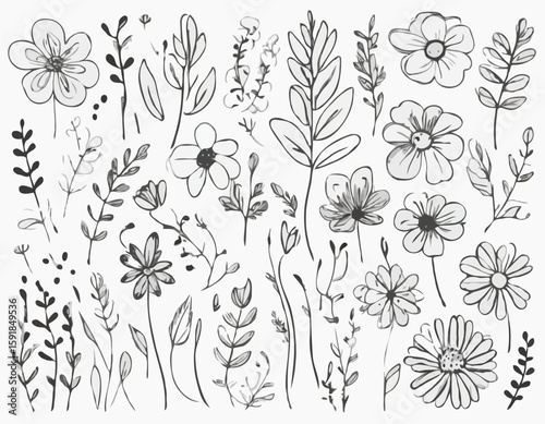 Doodle ink floral sketch set, vector flower brushstroke collection, hand drawn organic icon kit. Abstract naive botanical outline modern spring decoration design element. Doodle floral texture clipart