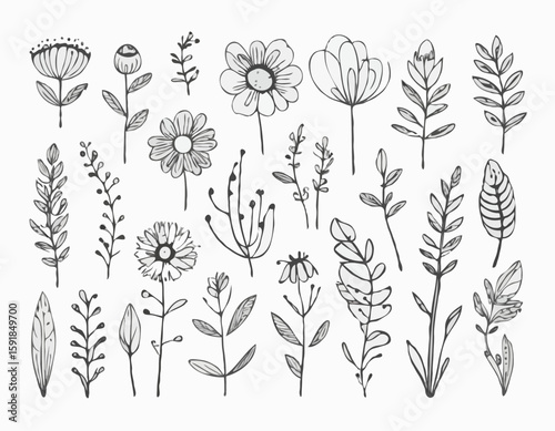 Doodle ink floral sketch set, vector flower brushstroke collection, hand drawn organic icon kit. Abstract naive botanical outline modern spring decoration design element. Doodle floral texture clipart