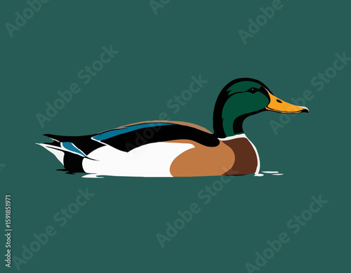 Mallard