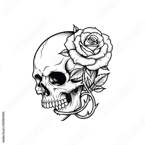 Skull and Rose Engraved Design. Monochrome cranium paired with an elegant blossoming flower. This artwork represents the enduring cycle of life, death, and beauty.