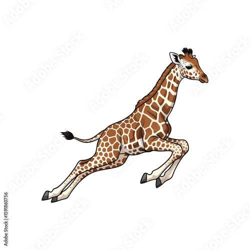 Playful Giraffe Calf Jumping. A delightful young ungulate in mid-air motion on a plain background, symbolizing youthful exuberance and freedom of spirit.