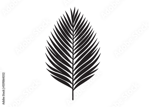 palm leaf logo silhouette vector, tropical palm leaf silhouette vector illustration, palm tree leaf black silhouette, simple black silhouette palm leaf logo silhouettes vector on a white background