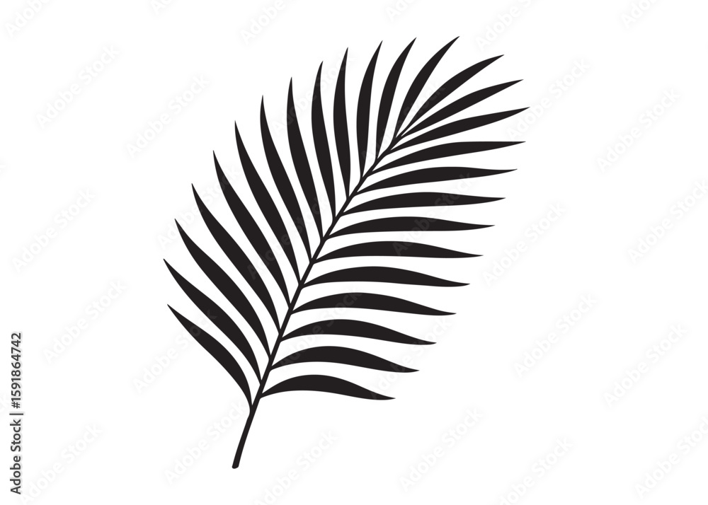 Fototapeta premium palm leaf logo silhouette vector, tropical palm leaf silhouette vector illustration, palm tree leaf black silhouette, simple black silhouette palm leaf logo silhouettes vector on a white background