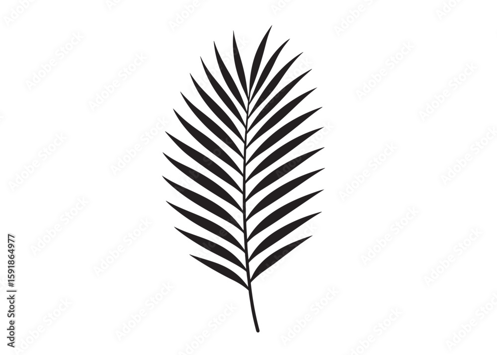 Fototapeta premium palm leaf logo silhouette vector, tropical palm leaf silhouette vector illustration, palm tree leaf black silhouette, simple black silhouette palm leaf logo silhouettes vector on a white background
