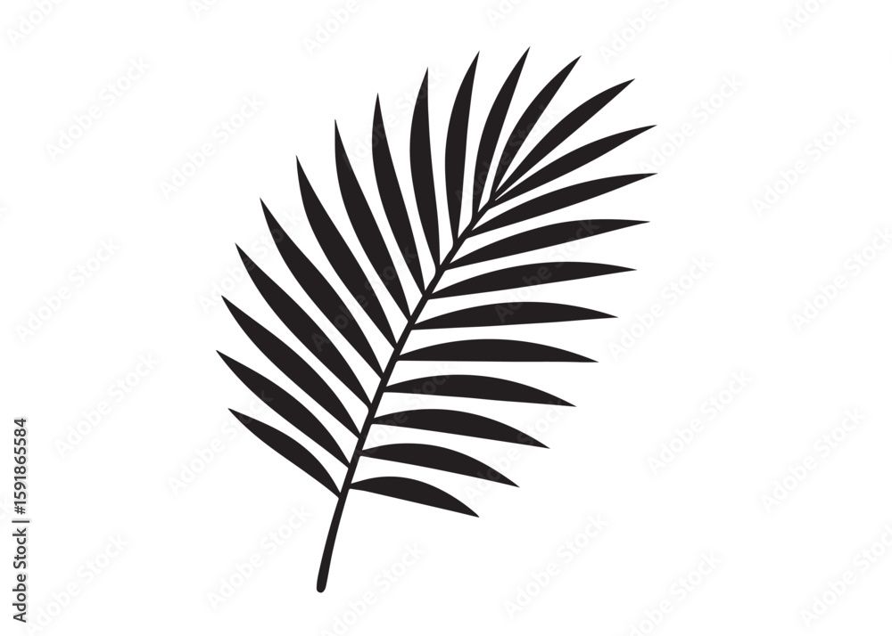 Fototapeta premium palm leaf logo silhouette vector, tropical palm leaf silhouette vector illustration, palm tree leaf black silhouette, simple black silhouette palm leaf logo silhouettes vector on a white background