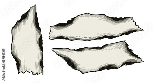 sketch Torn paper pieces with burnt edges for design, clipart – hand-drawn black and white vector illustration