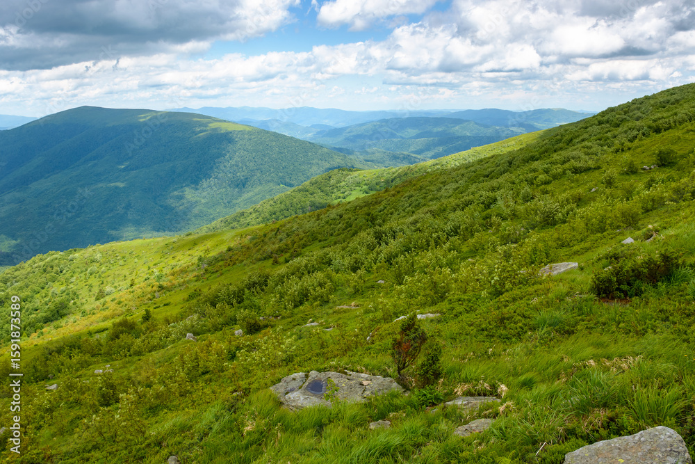 wonderful mountain landscape for travel with green hill in summer. nature scenery with scenic view in to the distant valley of carpathians in dappled light. hiking through transcarpathia highland wonderful mountain landscape for travel with green hill in summer. nature scenery with scenic view in to the distant valley of carpathians in dappled light. hiking through transcarpathia highland