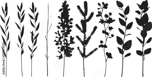 Black botanical silhouettes various plants flora leaves