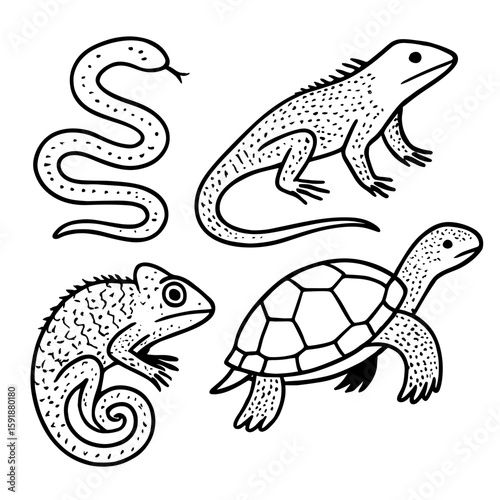 Reptile friends snake lizard turtle chameleon reptiles
