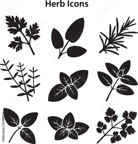 Black silhouette herb icons parsley basil