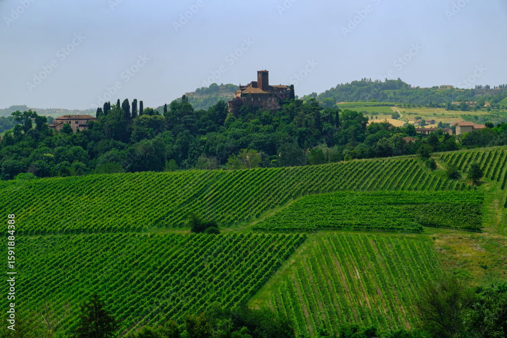 Fototapeta premium Rural landscape near Casale Monferrato and Ozzano, Alessandria province, Italy