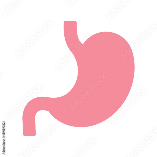 Human Stomach Organ: Digestive System Anatomy Pink Vector Illustration