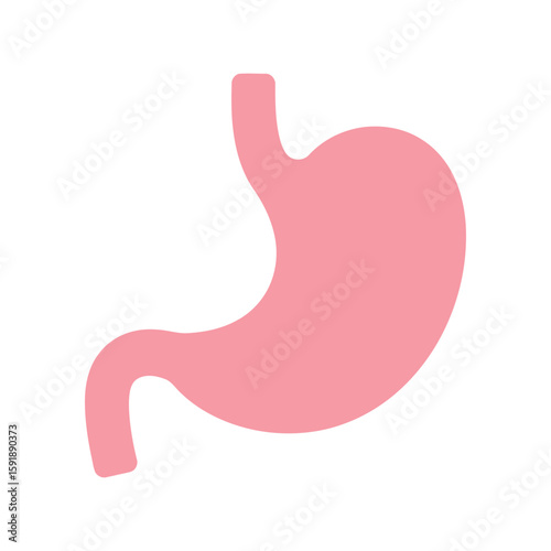 Human Stomach Organ: Digestive System Anatomy Pink Vector Illustration