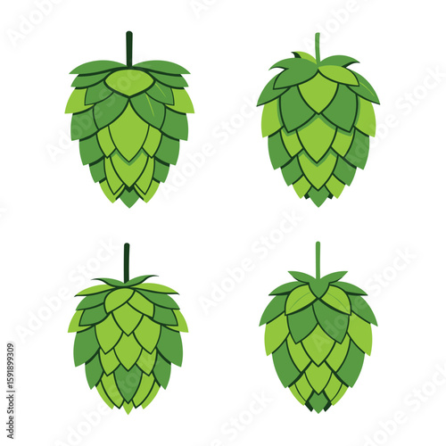 Four detailed vector illustrations of fresh green hop cones showing their layered petal structure