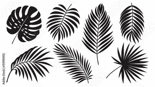 Wallpaper Mural A seamless vector pattern of black feather and diverse leaf silhouettes, perfect for nature-inspired design or decorative wallpaper Torontodigital.ca
