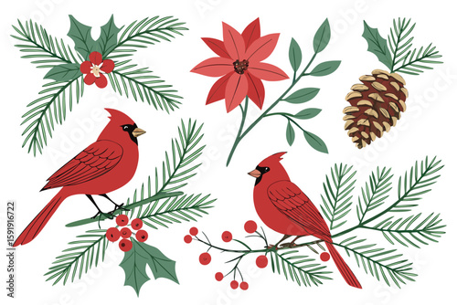 Two bright red cardinals perched on festive winter branches with poinsettias and pinecones