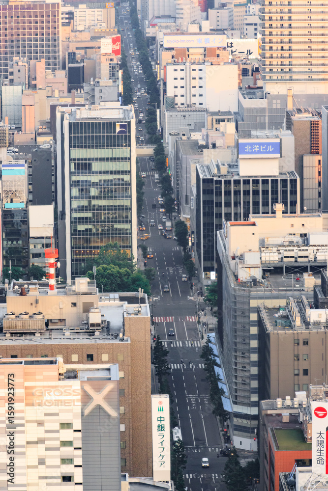 Fototapeta premium Aerial View of a Bustling Urban Street in Sapporo, Hokkaido, Japan