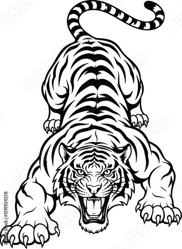 Striking graphic design features a prowling tiger in bold black and white stripes ready to pounce from a transparent backdrop.