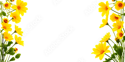 Yellow flowers with green leaves frame a black background on both sides equally