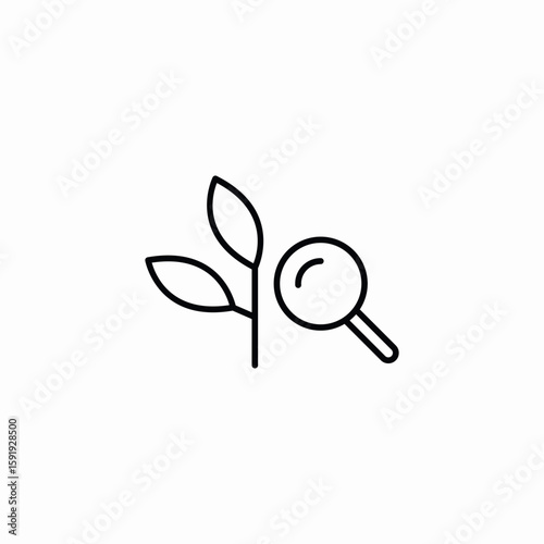 leaf search icon sign vector