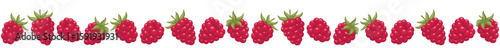 Seamless border frame with raspberry. 