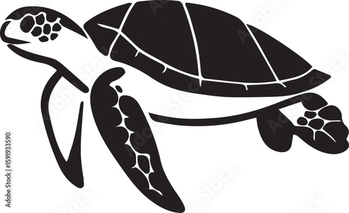 Minimalist turtle vector for layout design, Clean turtle graphic for branding