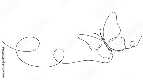 animated continuous single line drawing of a butterfly, line art animation