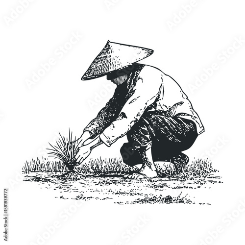 Traditional rice farming with a farmer in a conical hat