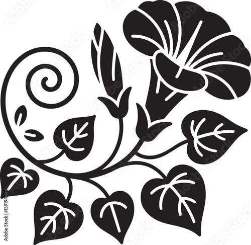 Morning Glory Flower Silhouette Vector Illustration Floral Vine Design Element Isolated on Transparent Background