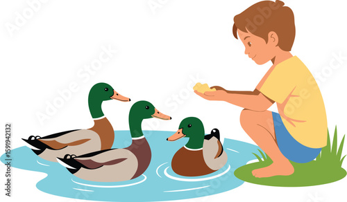 Boy feeding ducks in a pond illustration water