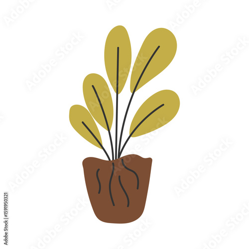 Plant with exposed roots growing in compost soil. Gardening and plant growth concept. Vector illustration.