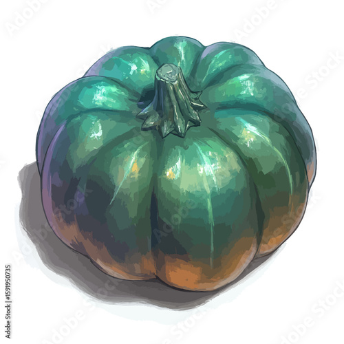 Acorn squash vector illustration 