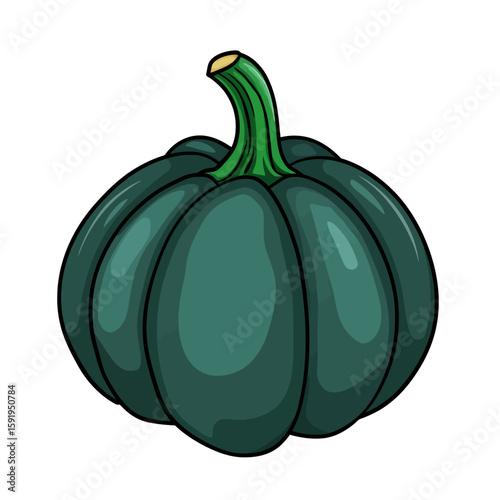 Illustration acorn squash 