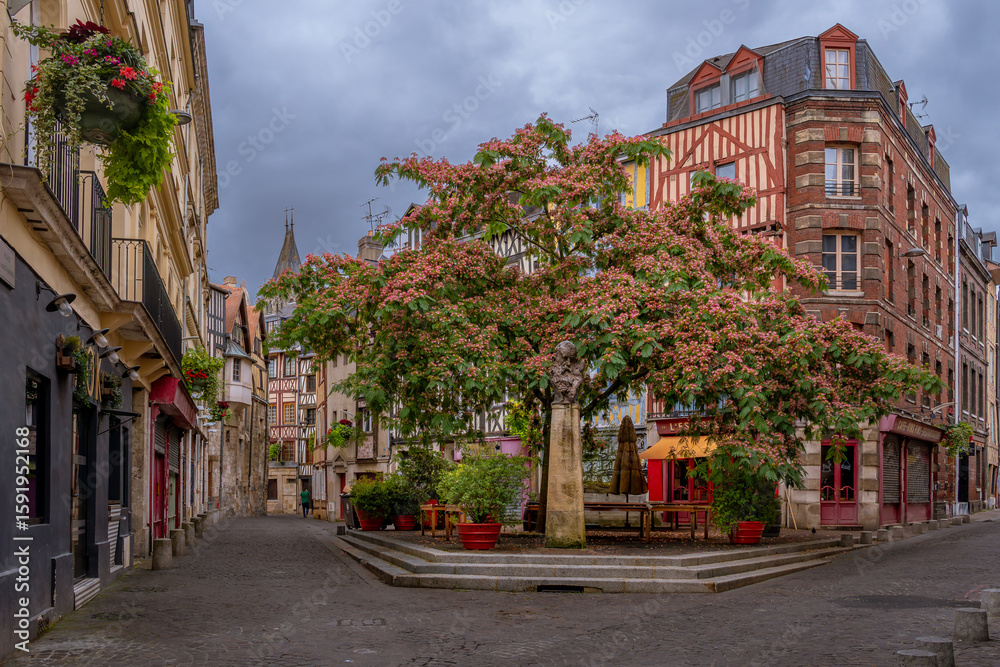 Fototapeta premium Rouen