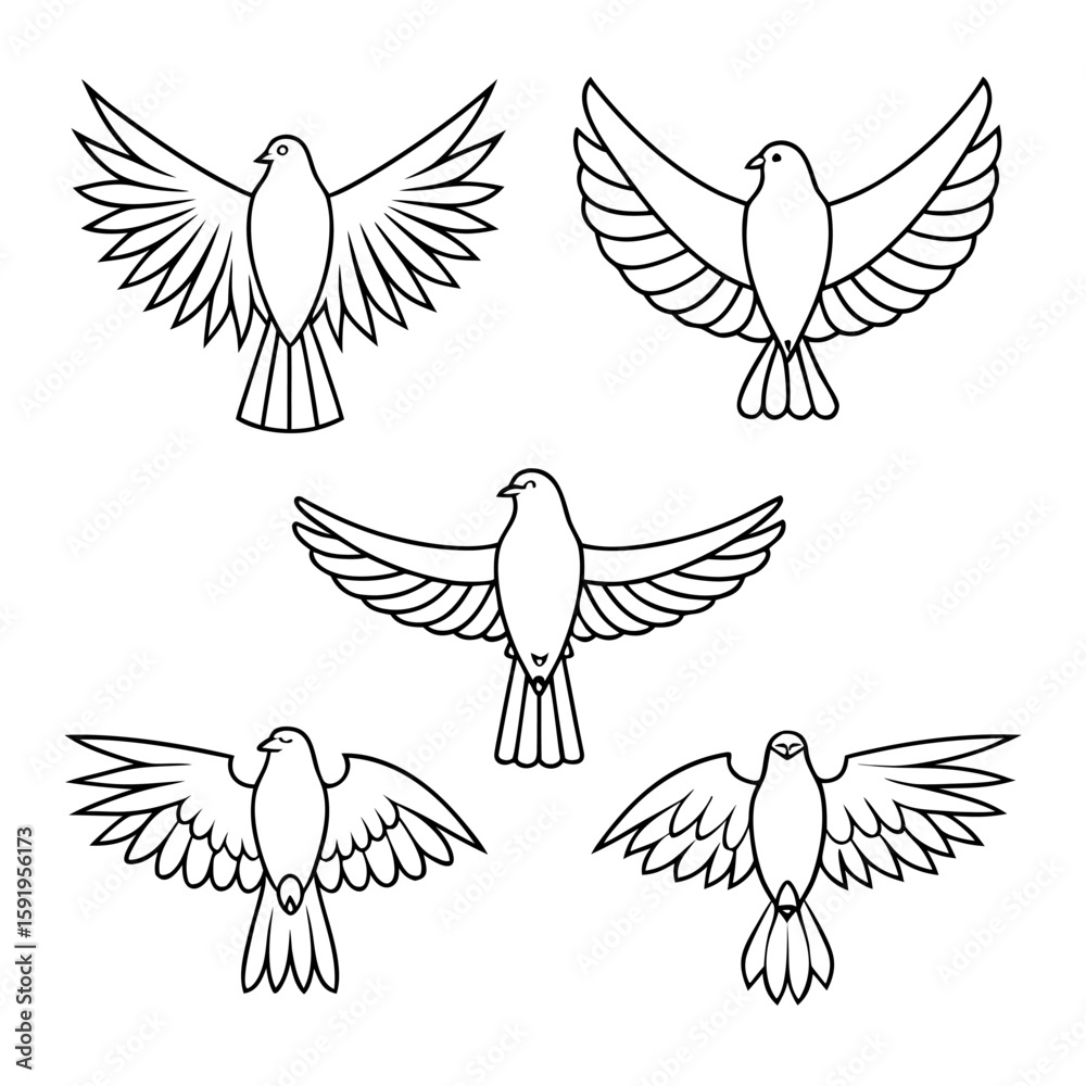 Obraz premium Five flying doves with outstretched wings bird