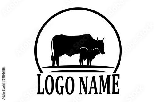 Cattle Angus Cow  Grass silhouette livestock farm