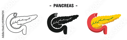 pancreas set design. medical and health care.