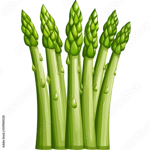 bunch of fresh asparagus