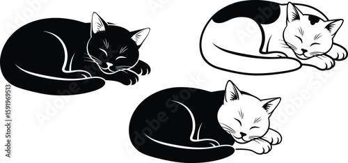Three cats sleeping peacefully in black and white vector image on a plain white background art