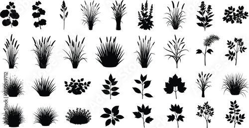 Silhouette collection of various plants including grasses shrubs and trees on a white background
