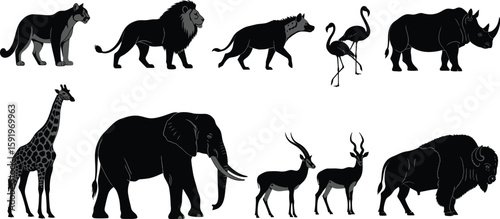 Silhouette illustration of various african animals including lion elephant and giraffe on white