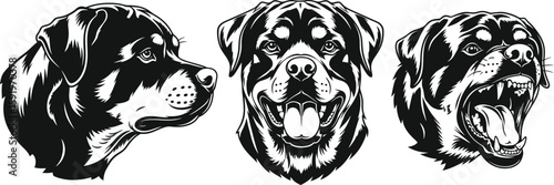 Three rottweiler heads showing different expressions in black and white vector illustration style art
