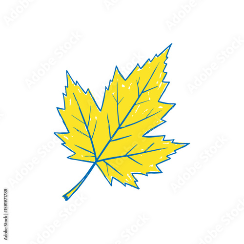 Maple leaf icon hand drawn doodle sketch symbol for autumn canada nature plant fall season yellow blue graphic design vector art illustration
