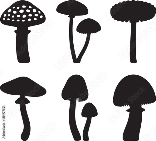 Six black mushroom silhouettes white nature