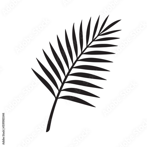 Single elegant palm frond or leaf in bold black silhouette on white background